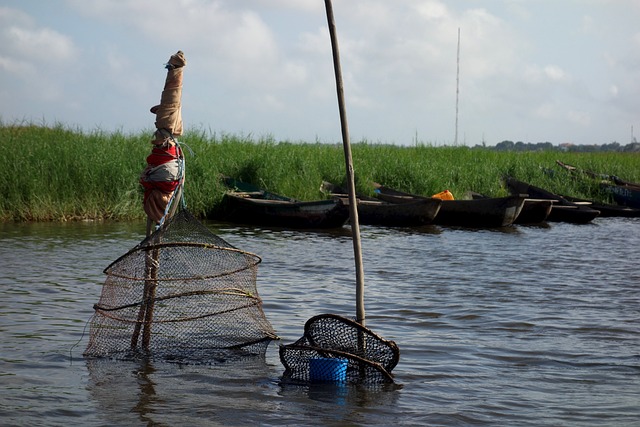 la pêche sur le lac Nokoué